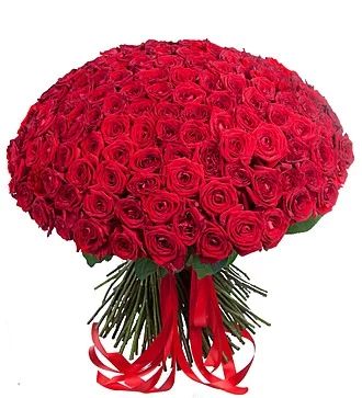 Букет цветов из 201 красной розы